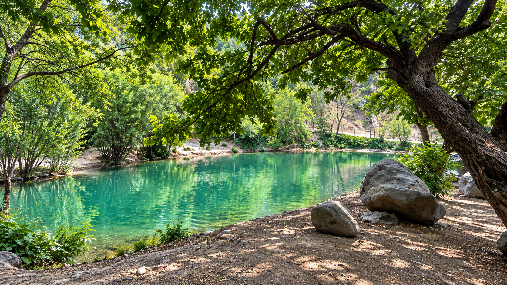 برکه آرامش